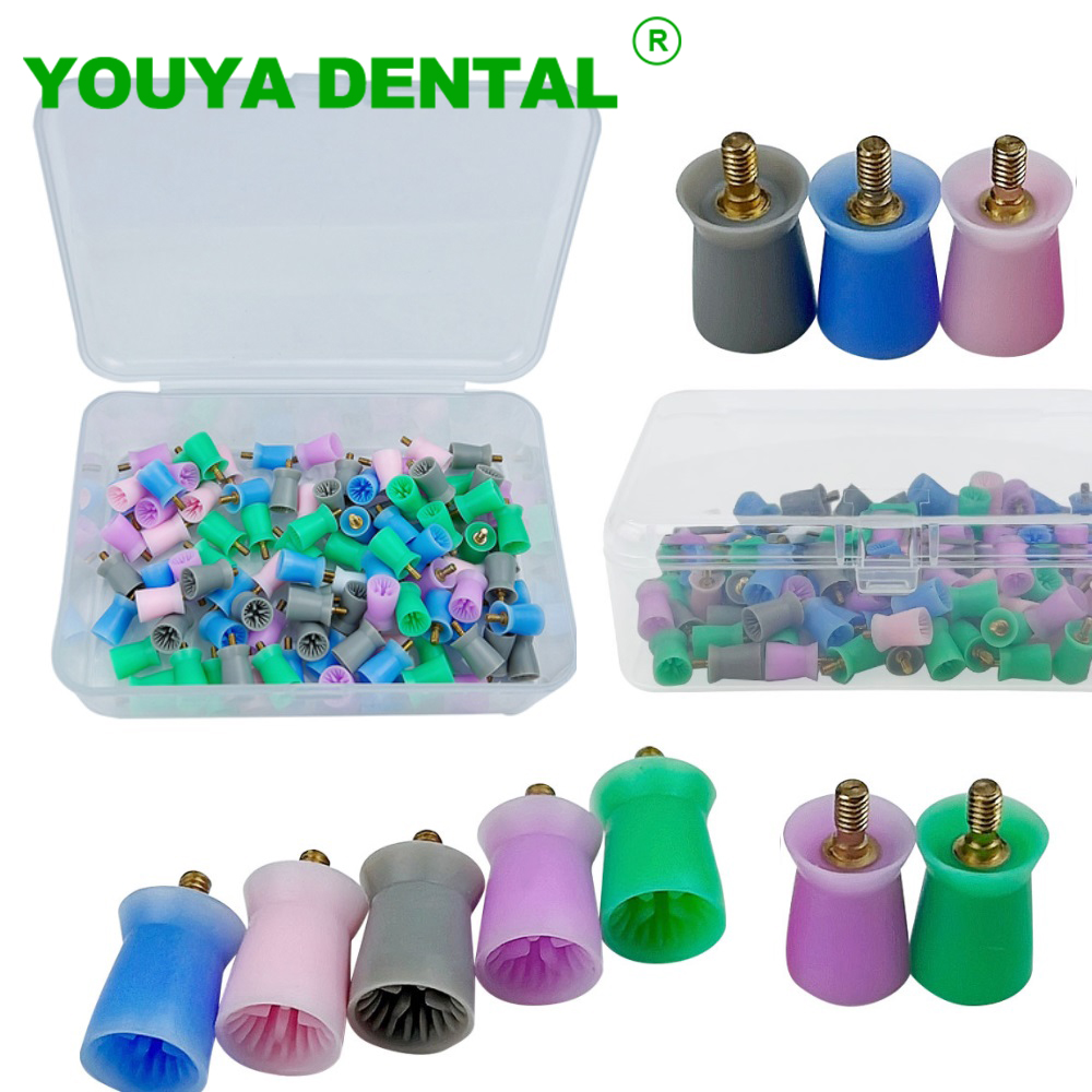 100 Stück/Box Dental Prophylax – Teeth Whitening Brush Bewertung und Preis