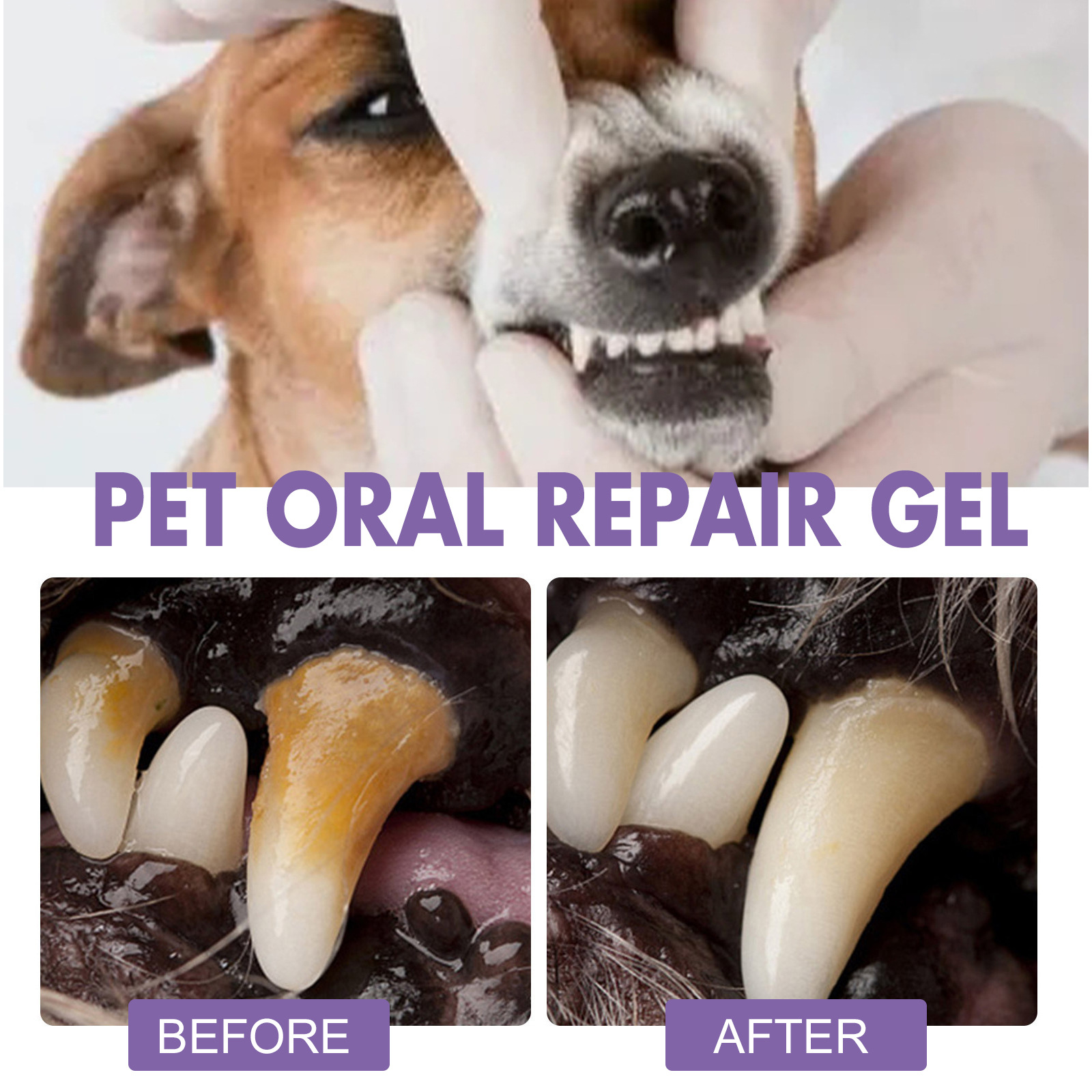 Pet Oral Repair Gel Welpen Zah – Teeth Whitening Cream Bewertung und Preis